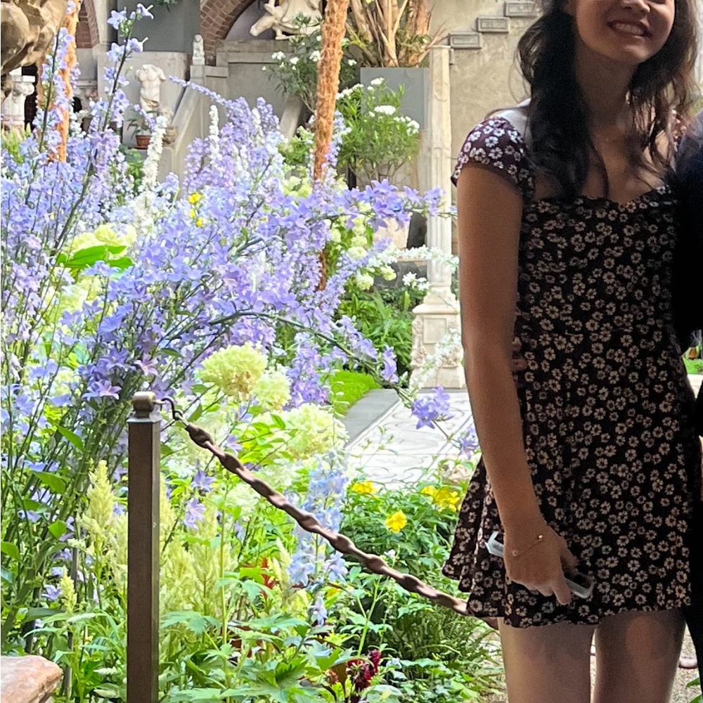 Reformation Floral Print Dress